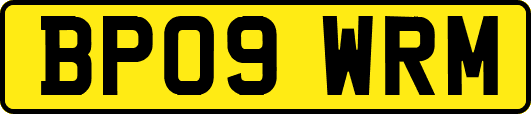 BP09WRM