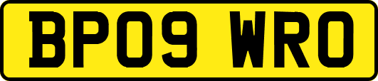 BP09WRO