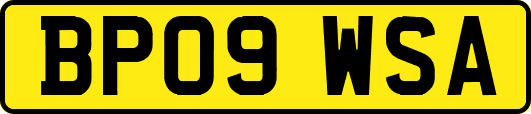 BP09WSA