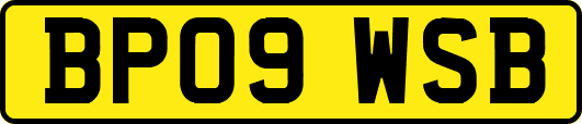 BP09WSB