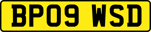 BP09WSD