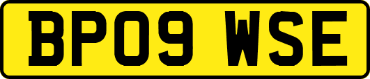 BP09WSE