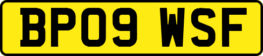 BP09WSF
