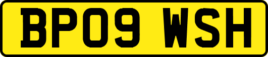 BP09WSH