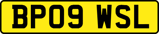 BP09WSL