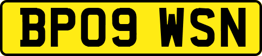 BP09WSN