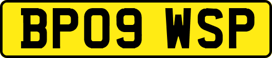 BP09WSP
