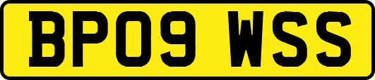BP09WSS