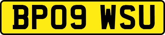BP09WSU