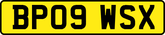 BP09WSX