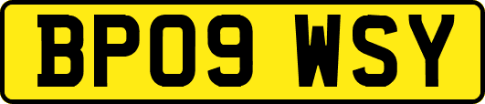 BP09WSY