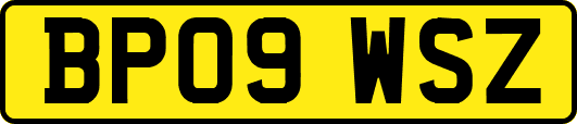 BP09WSZ
