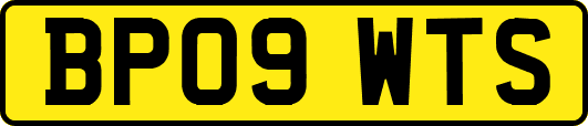 BP09WTS