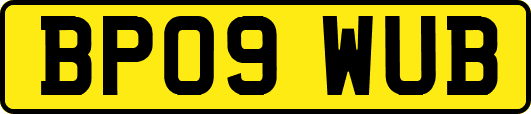 BP09WUB