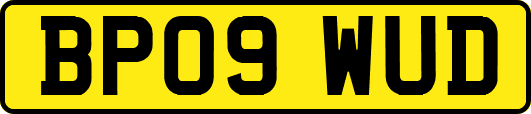 BP09WUD