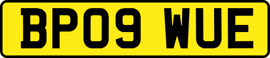 BP09WUE