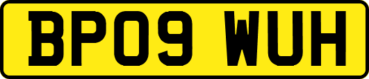 BP09WUH