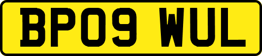 BP09WUL