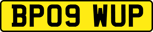 BP09WUP
