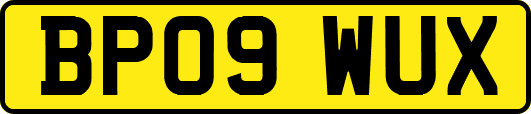 BP09WUX