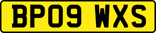 BP09WXS