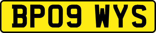 BP09WYS