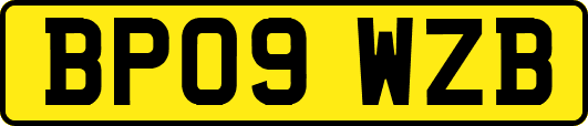 BP09WZB