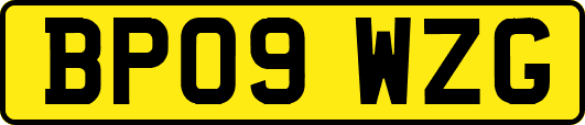BP09WZG