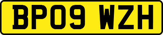 BP09WZH