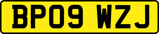 BP09WZJ