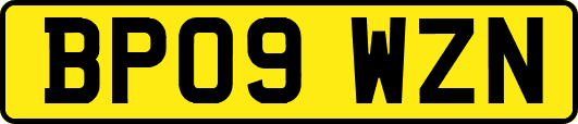 BP09WZN