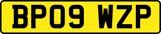 BP09WZP