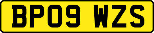 BP09WZS