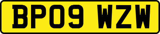 BP09WZW