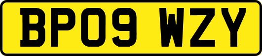 BP09WZY