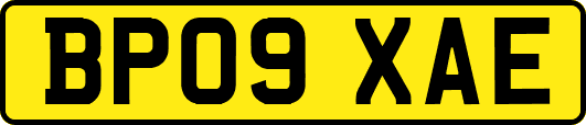 BP09XAE