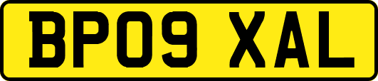 BP09XAL