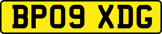 BP09XDG