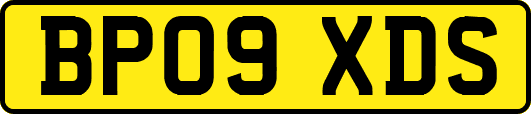 BP09XDS