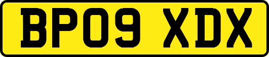 BP09XDX