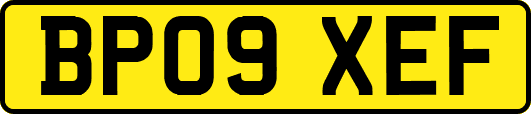 BP09XEF