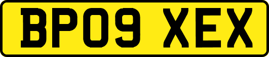 BP09XEX