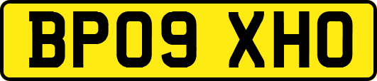 BP09XHO