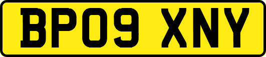 BP09XNY