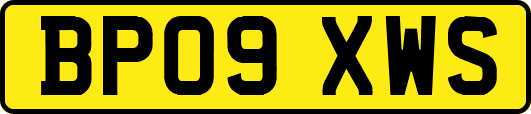 BP09XWS