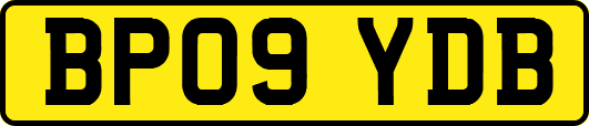 BP09YDB