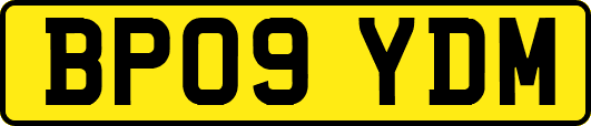 BP09YDM