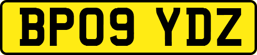 BP09YDZ