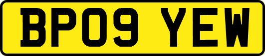 BP09YEW