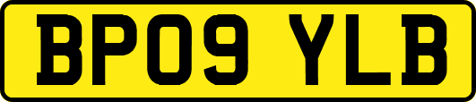 BP09YLB